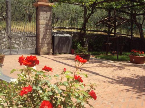 Bellaria Relais Bed and Breakfast Πιάνο ντι Σορέντο Εξωτερικό φωτογραφία